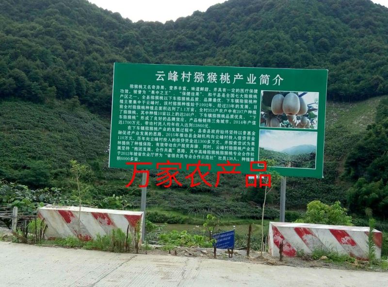 米良2号90~100克