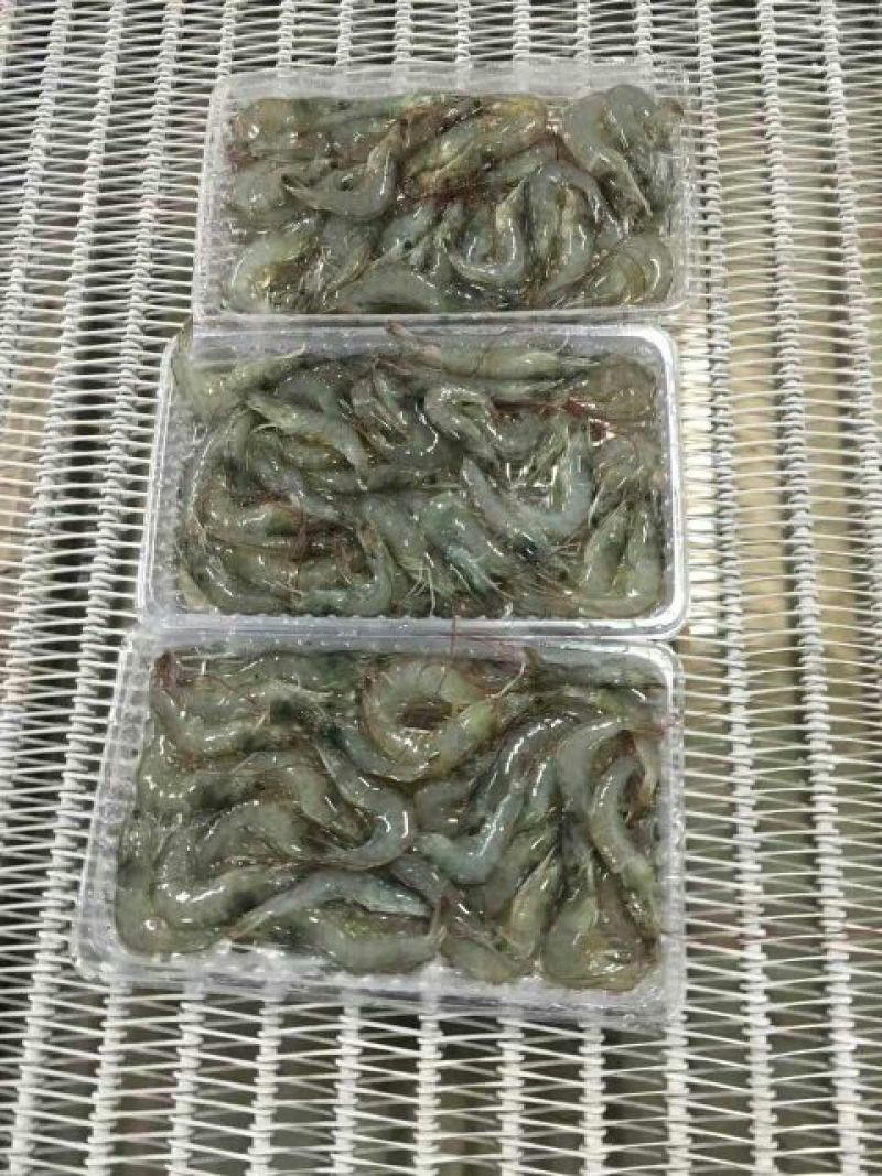 青虾食用26~30只/kg