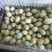 绿壳鸡蛋食用50g以下