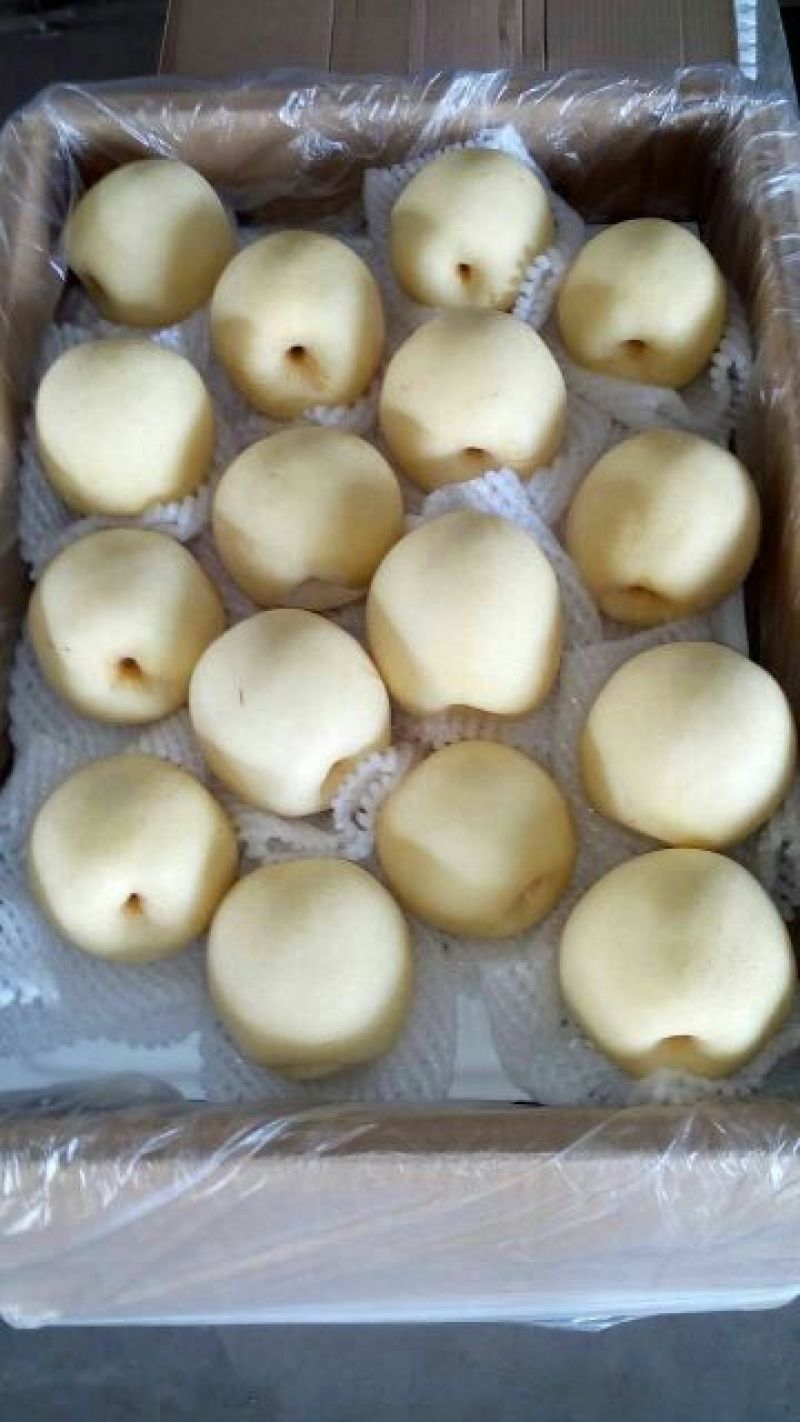 皇冠梨250~300g纸箱
