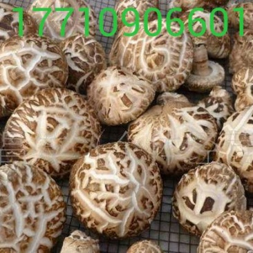 干香菇