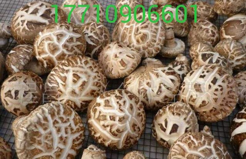 干香菇