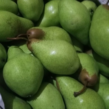 贵妃梨200~250g纸箱