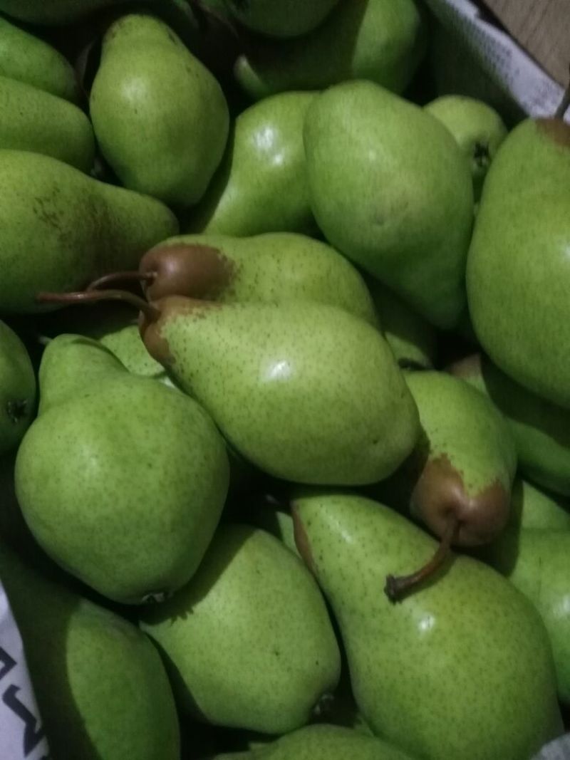 贵妃梨200~250g纸箱