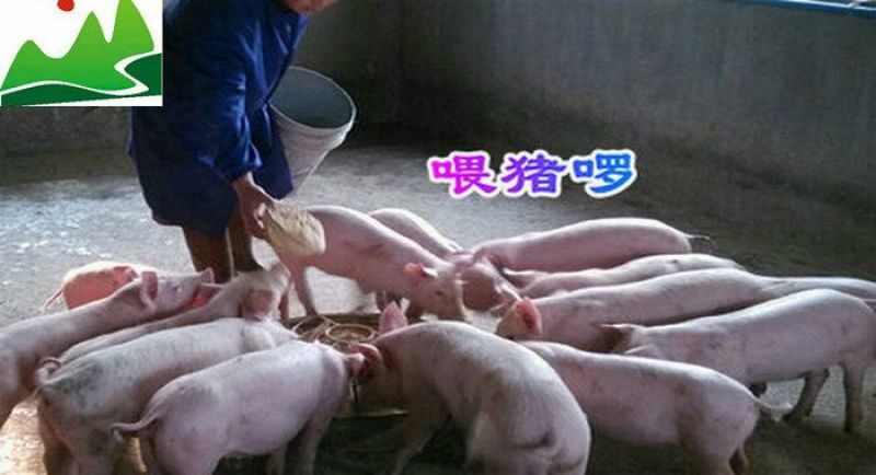 腊肉食用蹄膀肉制品