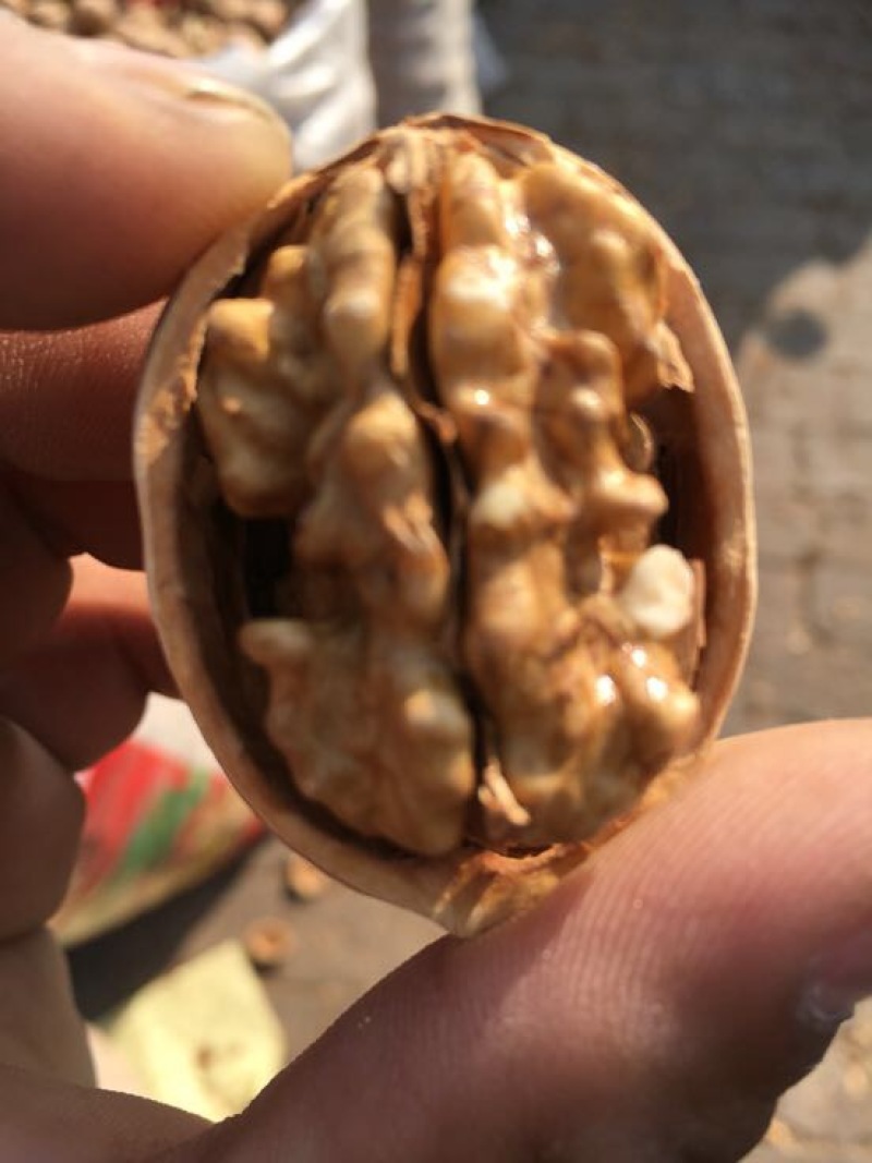 薄皮核桃