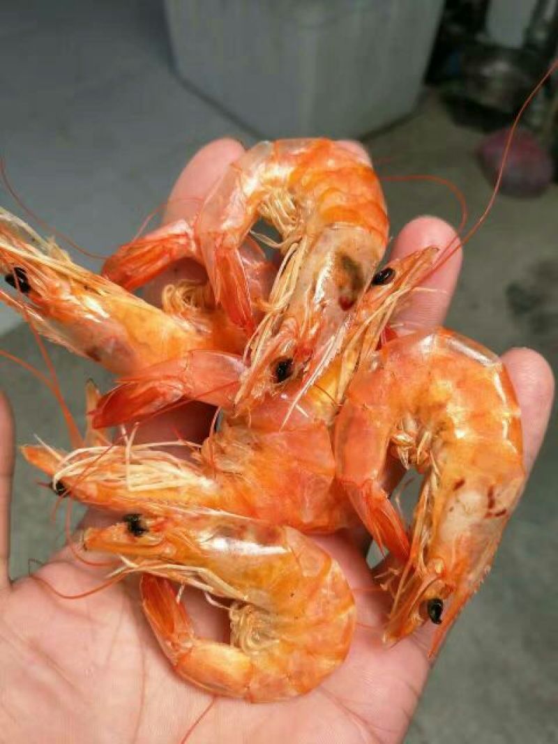 对虾干、对虾米