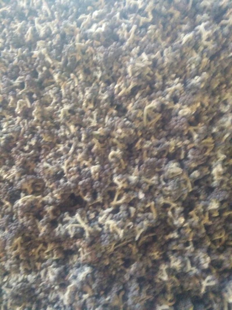 吴茱萸中花统