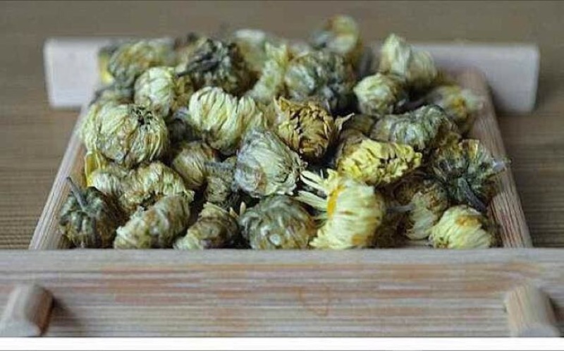 杭州白菊