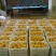 梨300~350g纸袋