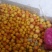 红梨100~150g光果