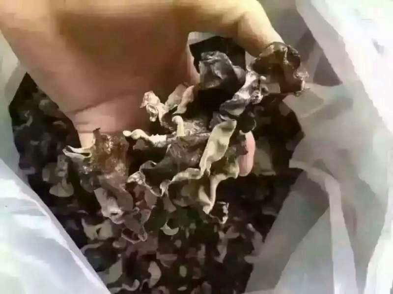 干木耳一级
