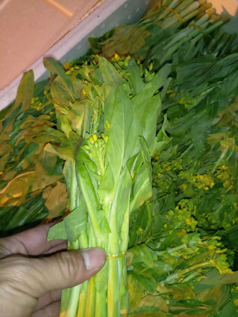 蔬菜