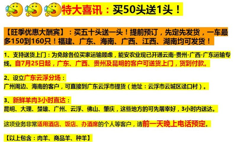 云南彝族黑山羊40~60斤/头，公母羊
