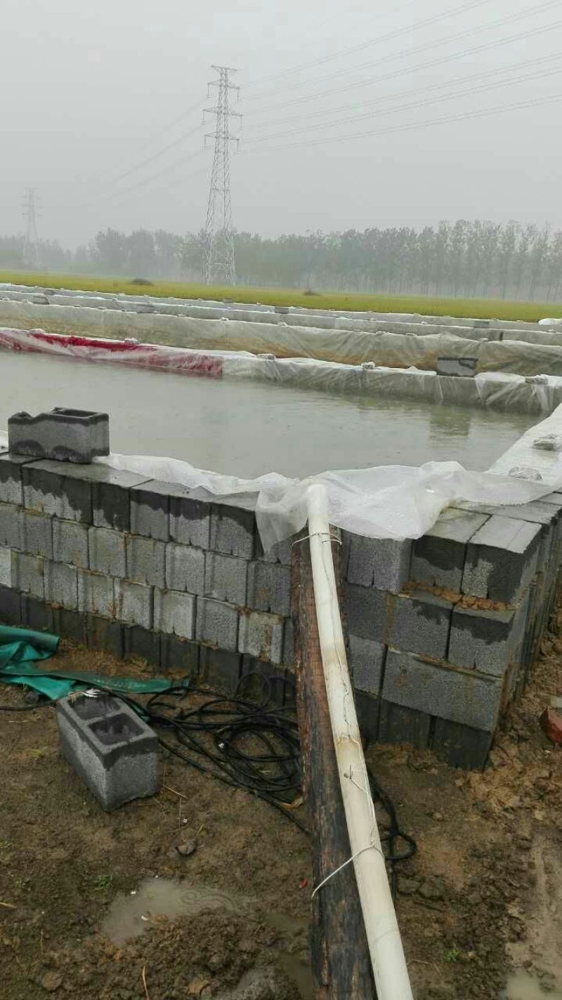 粉丝散装
