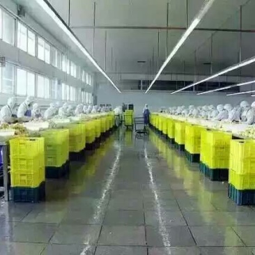 黄桃罐头