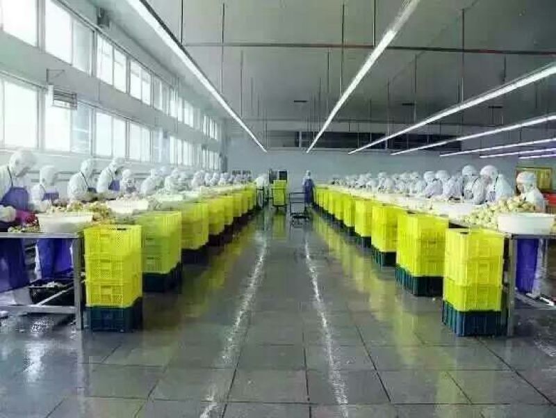 黄桃罐头