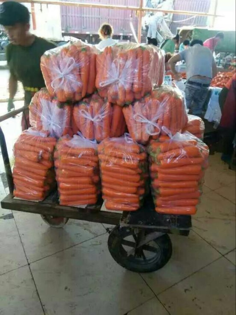 大红品种，，杂交胡萝卜可视频看货提供各种包装，
