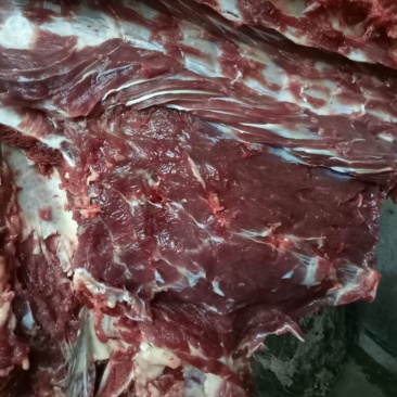 驴肉鲜货