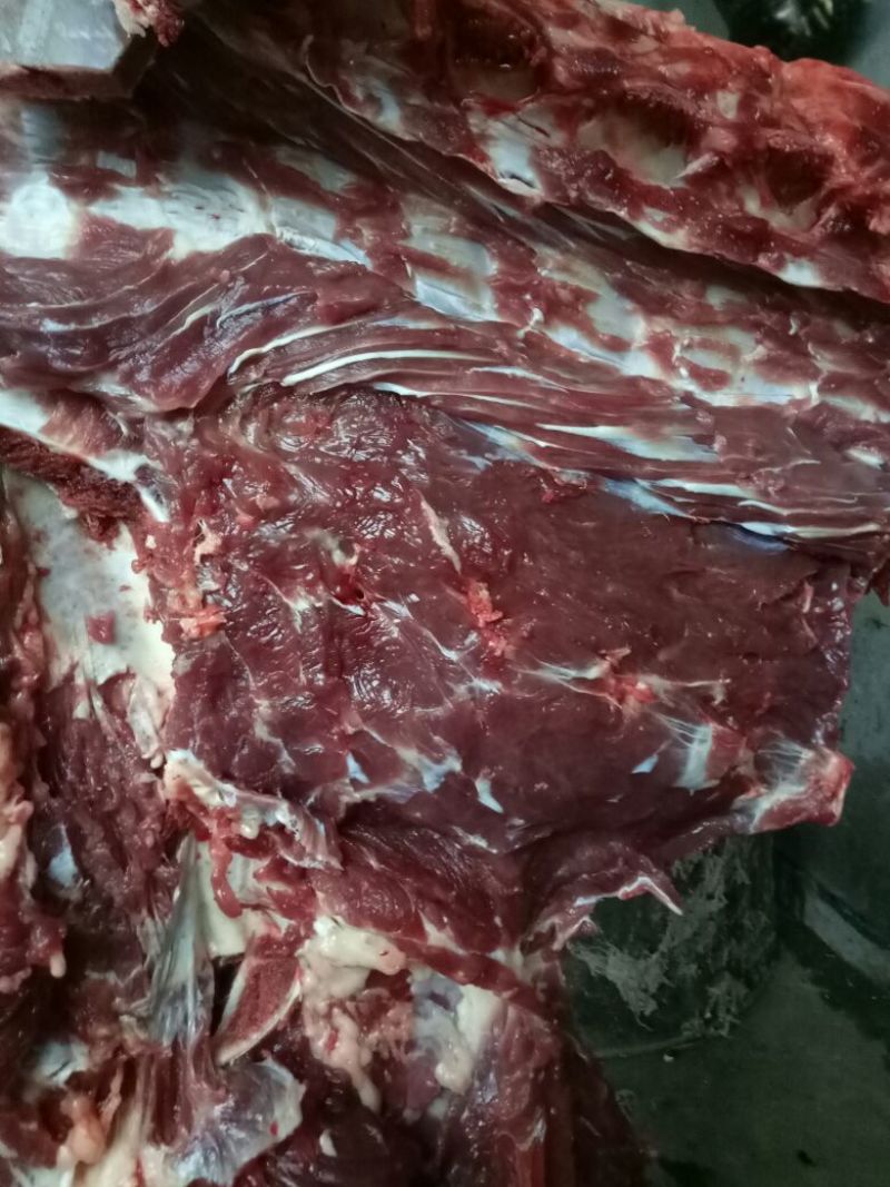 驴肉鲜货
