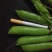 长寿仁甜脆豌豆云南丽江大青豌豆单花单荚