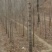 榆树6~8cm4~6cm2.5~3m