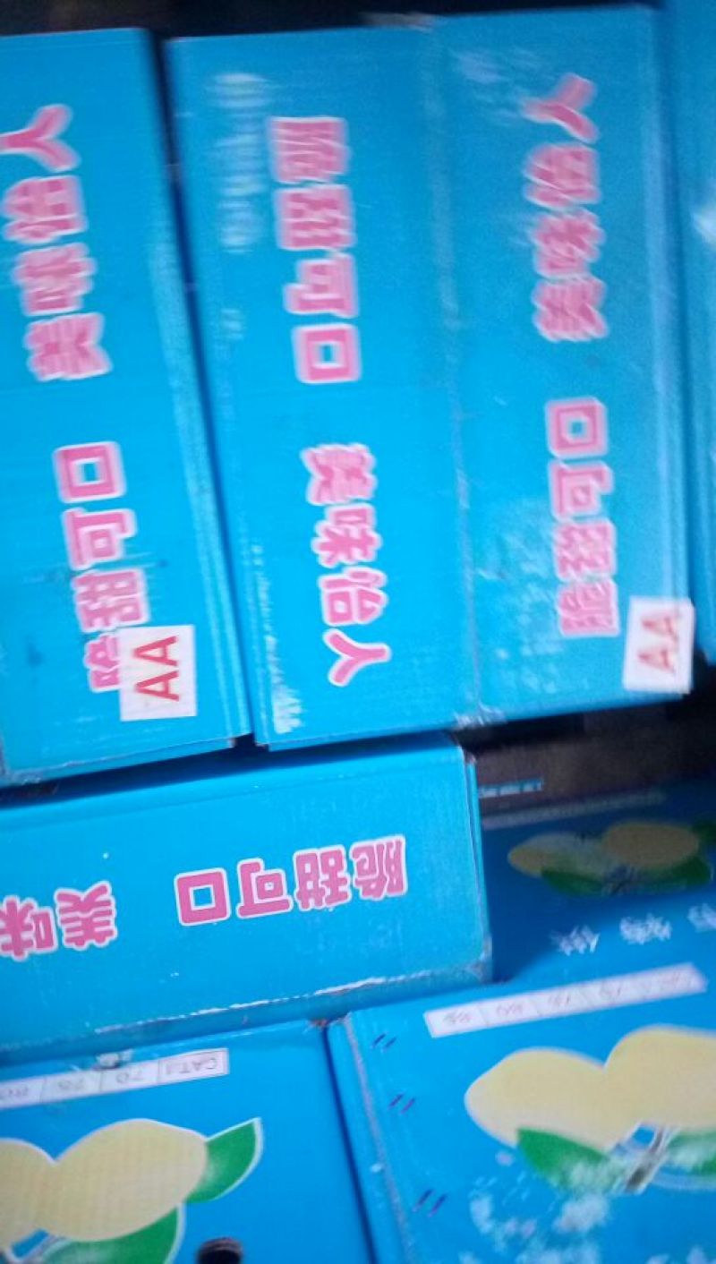 贡梨250~300g纸加膜