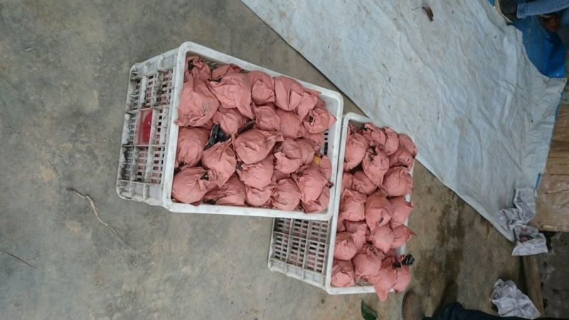 丰水梨350~400g纸加膜