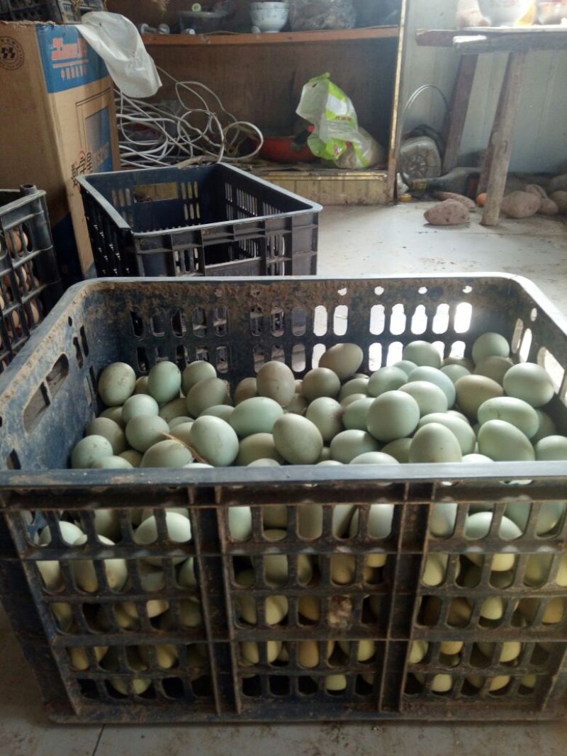 绿壳鸡蛋食用50g以下