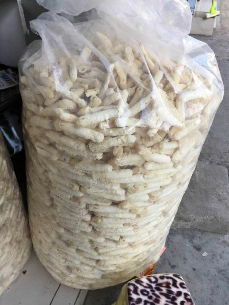 干竹荪一级