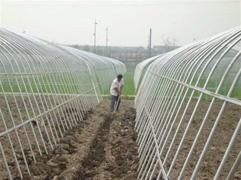 钢架大棚大棚骨架蔬菜大棚温室大棚钢管农业钢架连体热镀锌钢