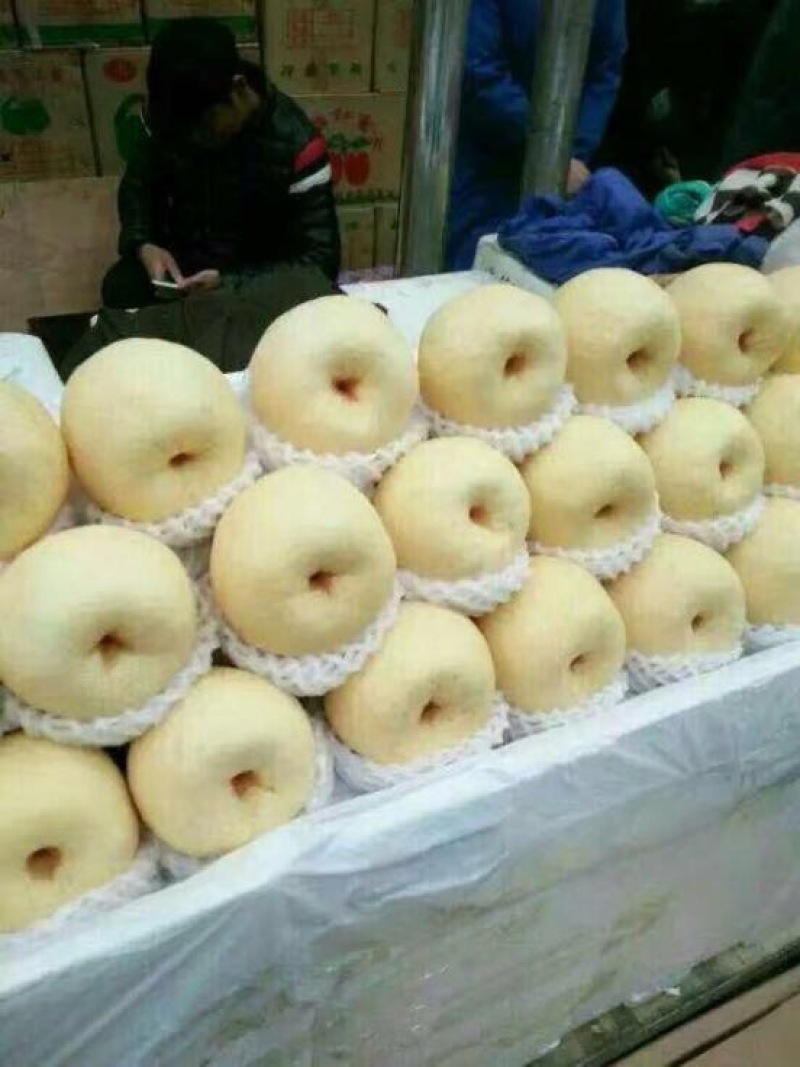 酥梨