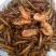 白鲫食用