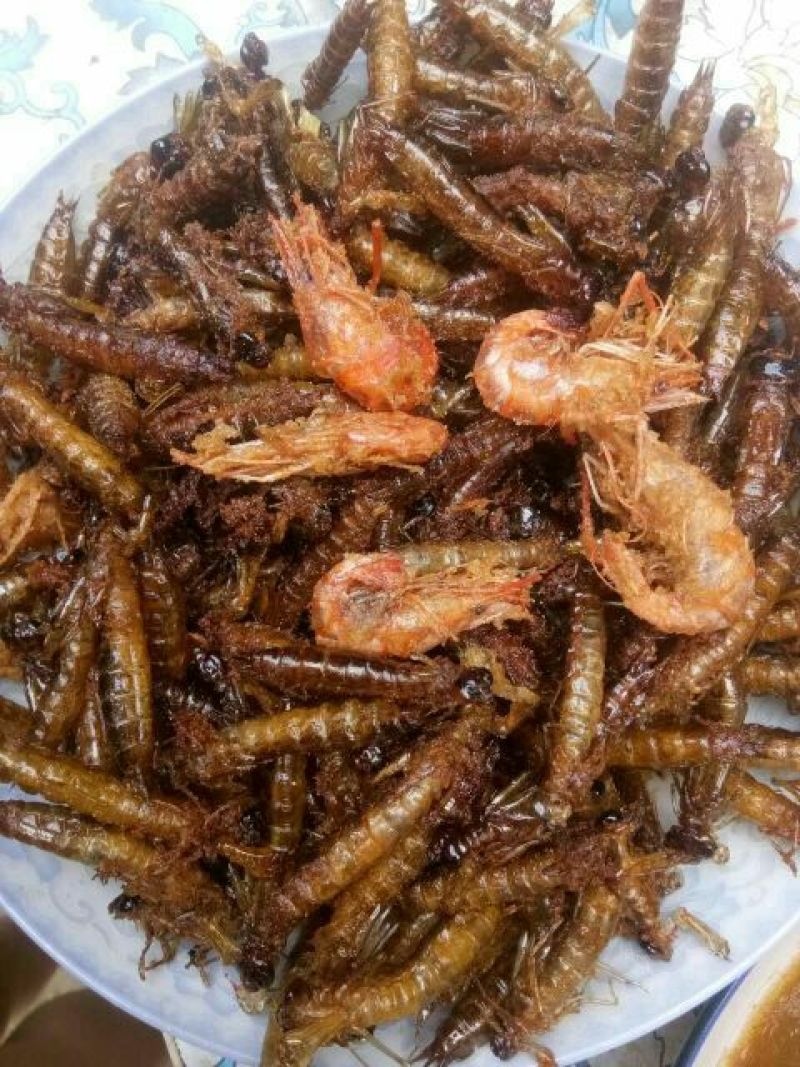 白鲫食用