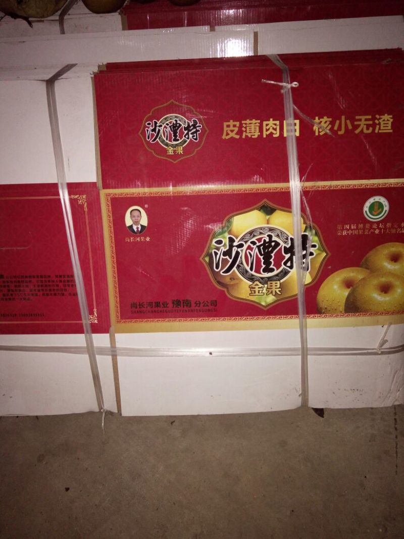 晚秋黄梨550~600g纸袋