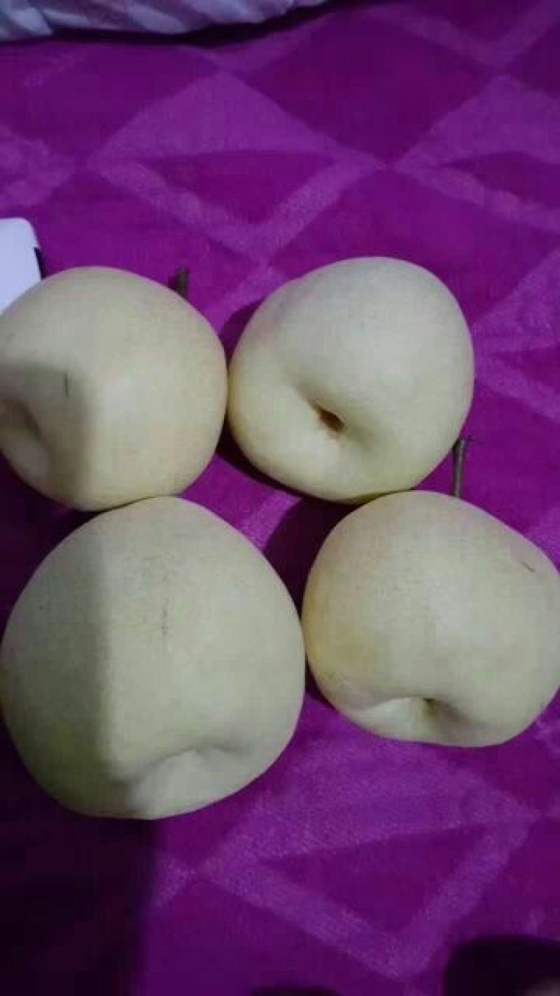 酥梨纸袋