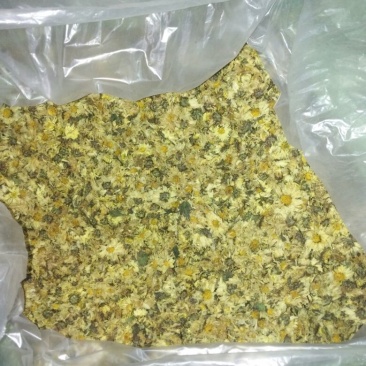 杭州白菊袋装