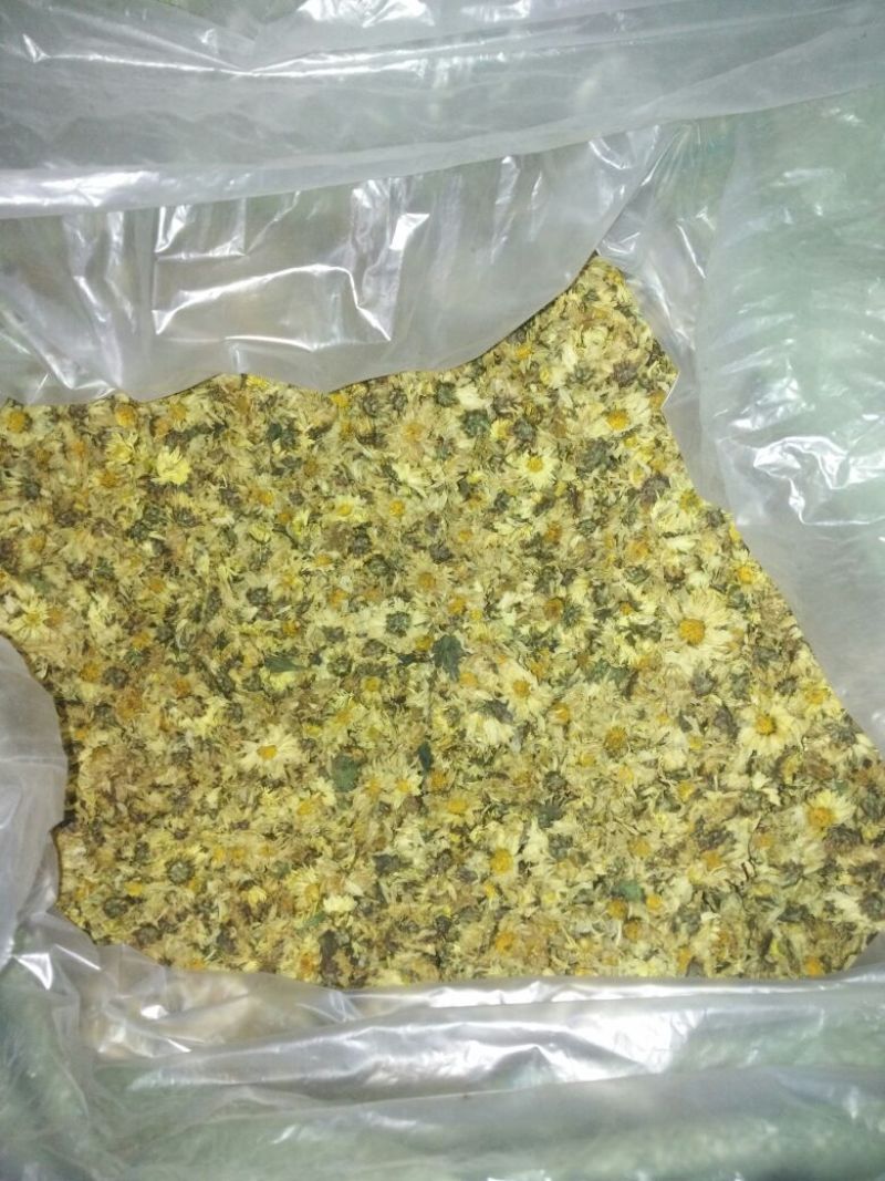 杭州白菊袋装