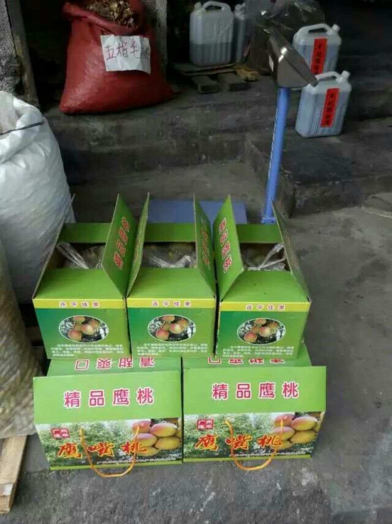 鹰嘴蜜桃55mm以上