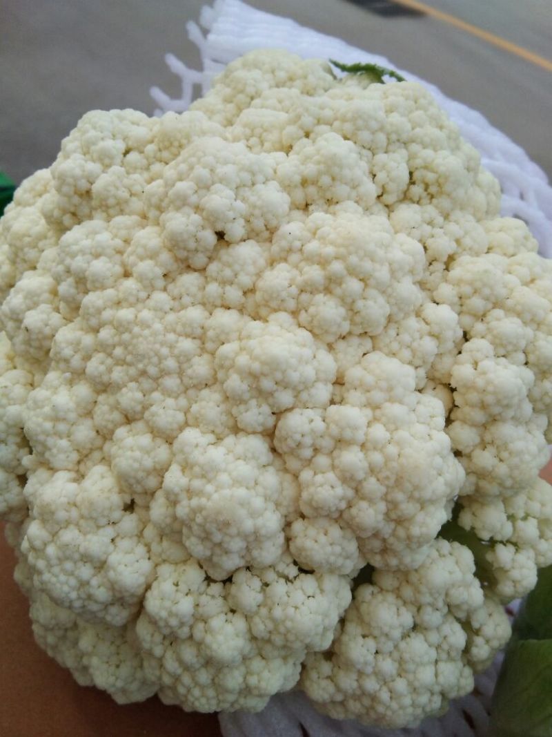 白花菜包装