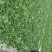 观音茶一级