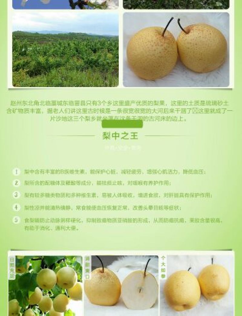 早酥梨