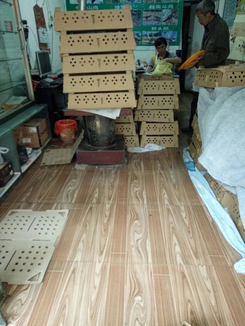 鸡苗1斤以下