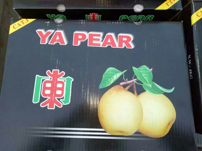 鸭梨膜袋
