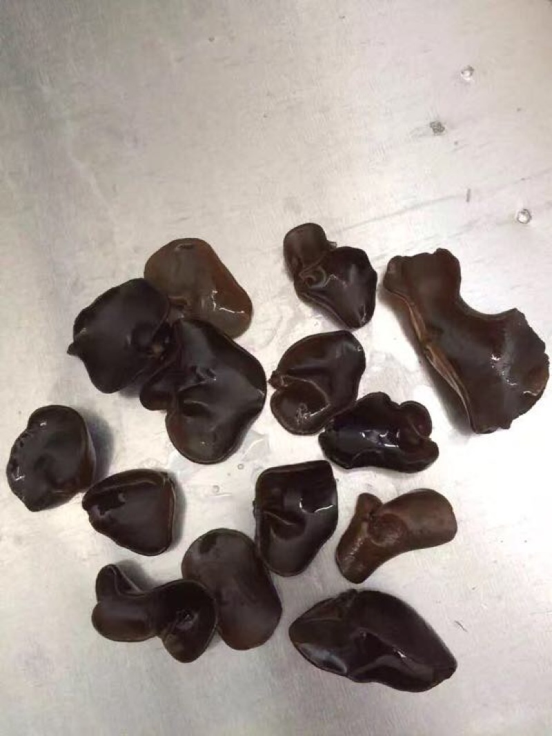 秋耳