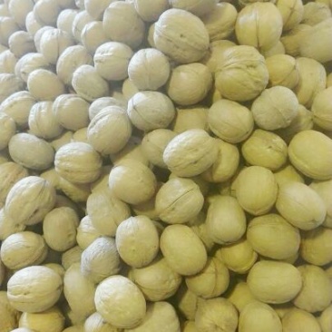 薄皮核桃30mm以上去皮