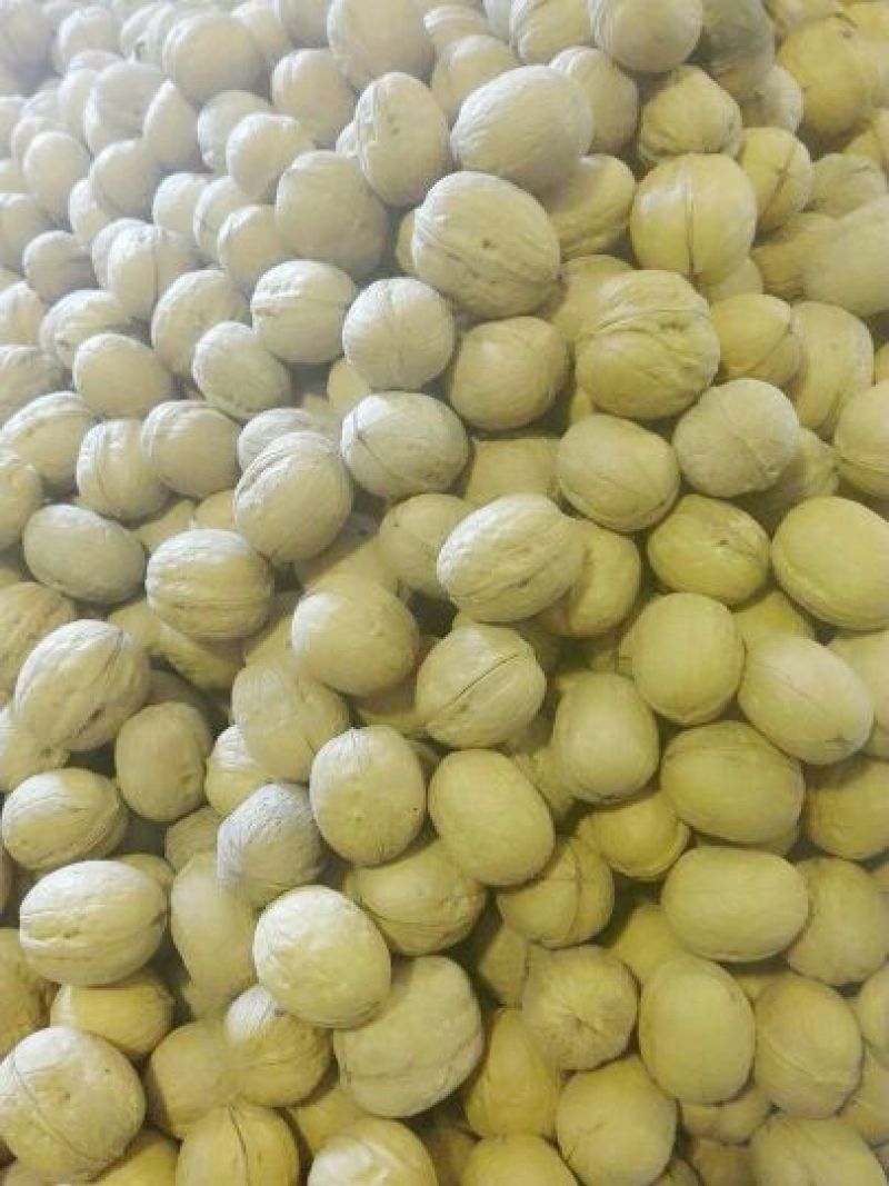 薄皮核桃30mm以上去皮
