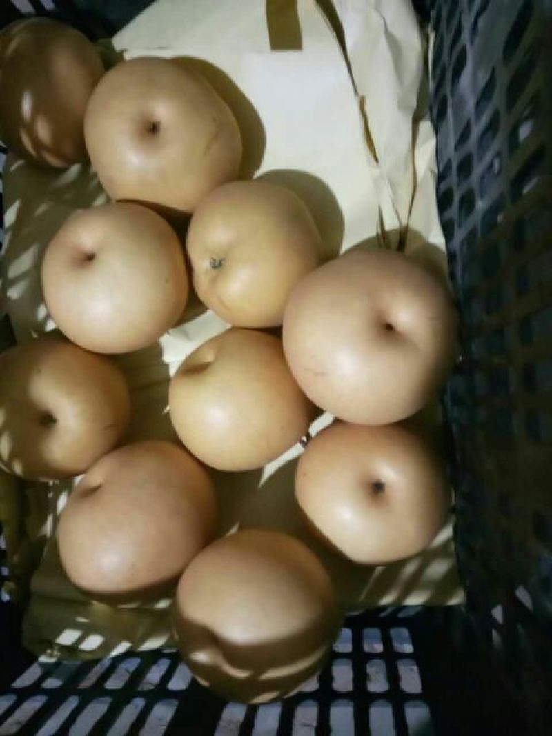 新高梨300~350g纸袋支持一件代发