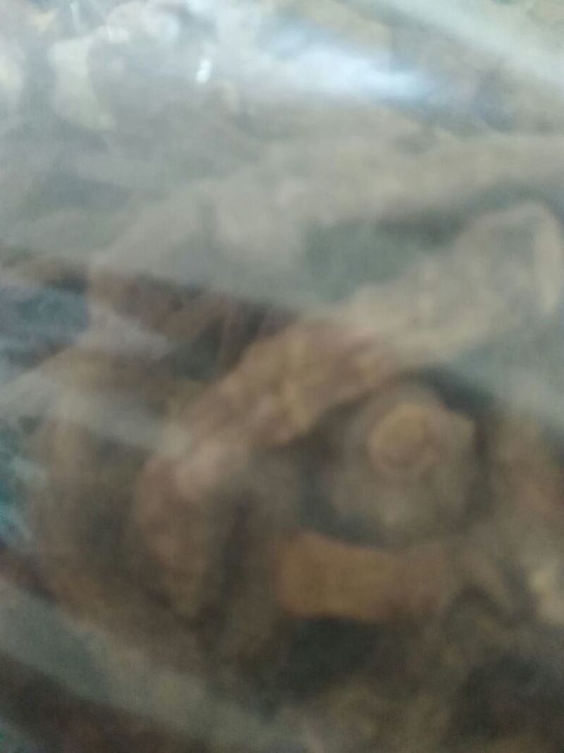 玉竹干