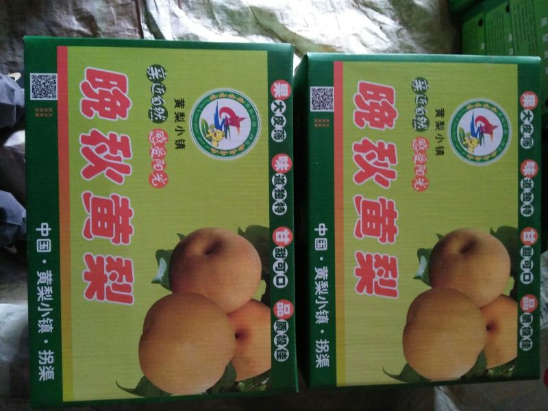 晚秋黄梨300~350g纸箱